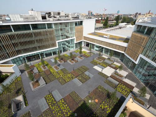 Walkways and planted Sedum beds create a pattern